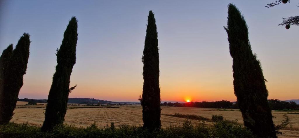 Agriturismo Il Canneto Casole dʼElsa Exteriér fotografie