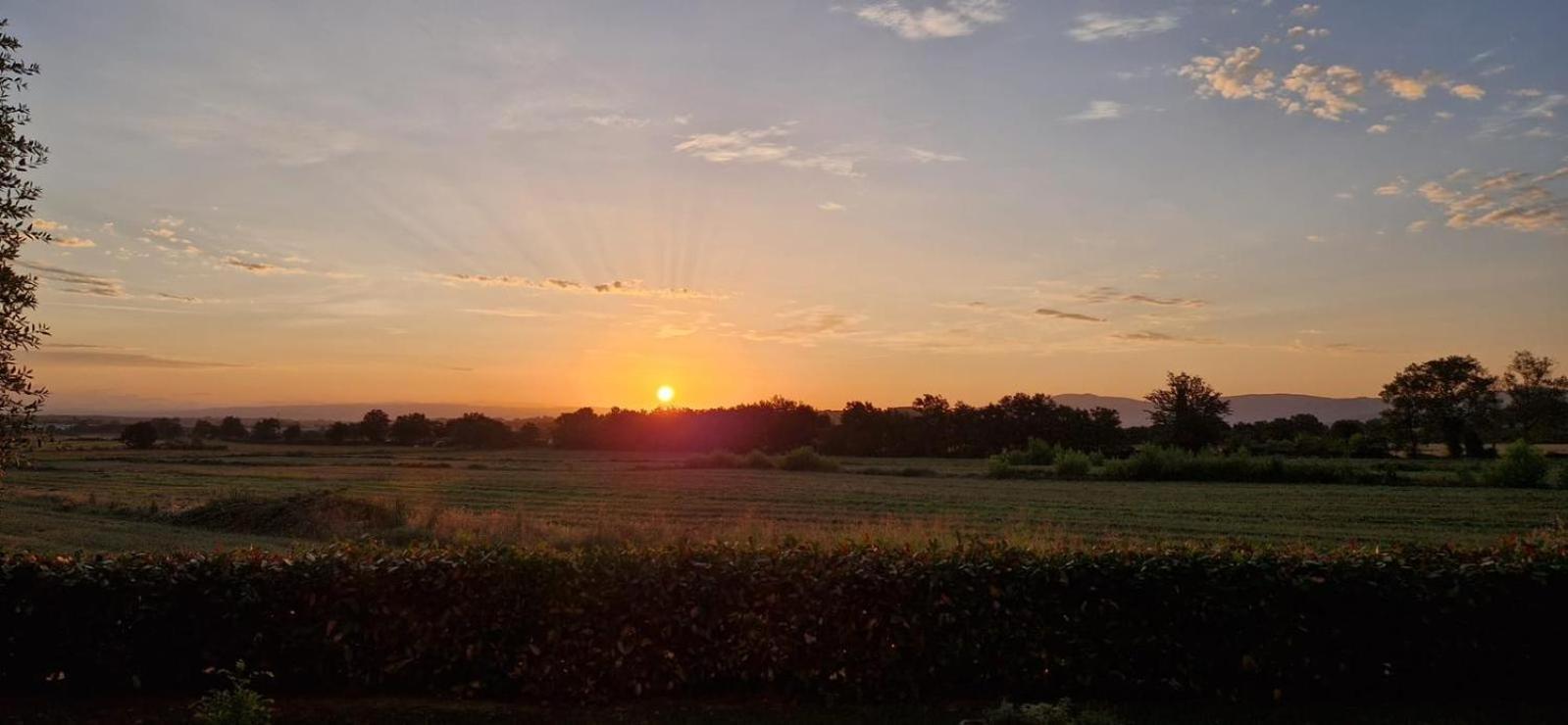 Agriturismo Il Canneto Casole dʼElsa Exteriér fotografie